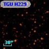 TGU H229