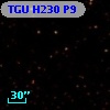 TGU H230 P9