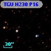 TGU H230 P16