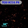 TGU H231 P6