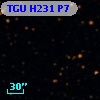 TGU H231 P7