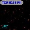 TGU H231 P8