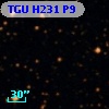 TGU H231 P9