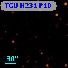 TGU H231 P10