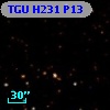 TGU H231 P13