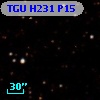 TGU H231 P15