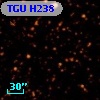 TGU H238