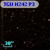 TGU H242 P3