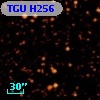 TGU H256