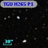 TGU H265 P1