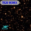 TGU H303