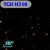 TGU H310