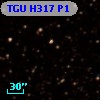 TGU H317 P1