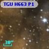 TGU H663 P1
