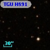 TGU H891
