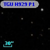 TGU H929 P1