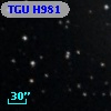 TGU H981