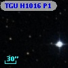 TGU H1016 P1