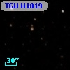 TGU H1019