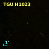 TGU H1023
