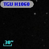 TGU H1060