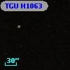 TGU H1063