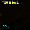 TGU H1081