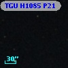 TGU H1085 P21