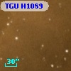 TGU H1089