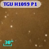 TGU H1089 P1