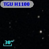 TGU H1100