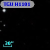 TGU H1101