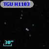 TGU H1103