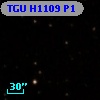 TGU H1109 P1