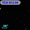 TGU H1110