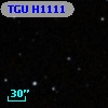 TGU H1111