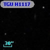 TGU H1117