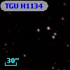 TGU H1134