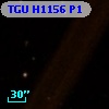 TGU H1156 P1