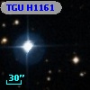 TGU H1161
