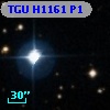 TGU H1161 P1