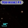 TGU H1162 P1