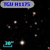 TGU H1175