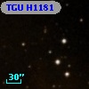 TGU H1181