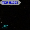 TGU H1202