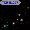 TGU H1207
