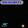 TGU H1209 P1