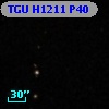 TGU H1211 P40