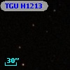 TGU H1213