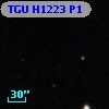 TGU H1223 P1